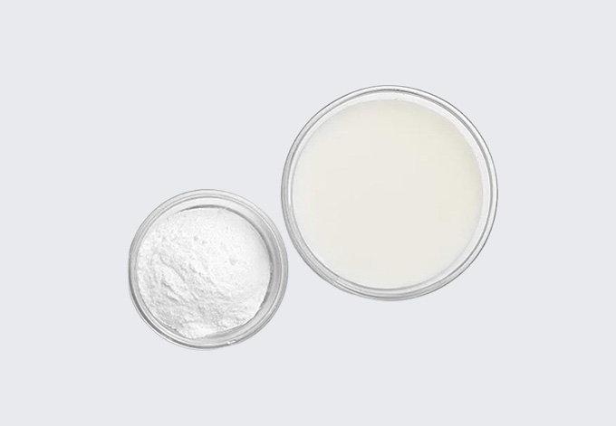 Bacillus coagulans