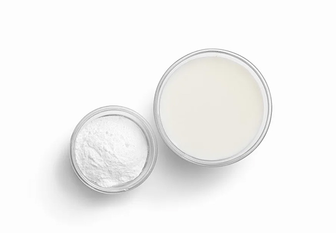 Bacillus coagulans