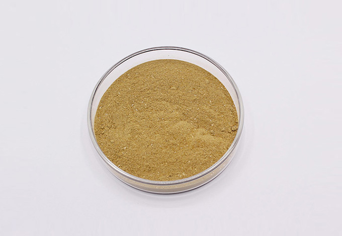 Bacillus licheniformis