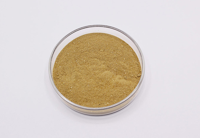 Bacillus licheniformis