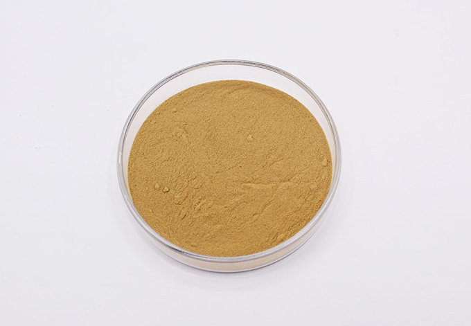 Bacillus subtilis